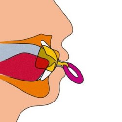 Mundskrm lbe- og tungetrner bld large