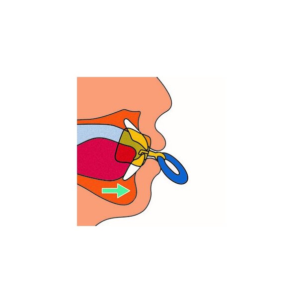 Mundskrm lbe- og tungetrner med kappe small