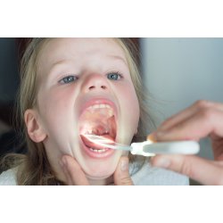 Blade til Tungeholder