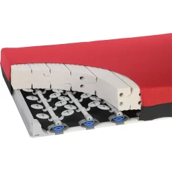 Madras ThevoVital Demensmadras